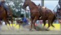 dr dolittle 3-avi_1000_118.jpg